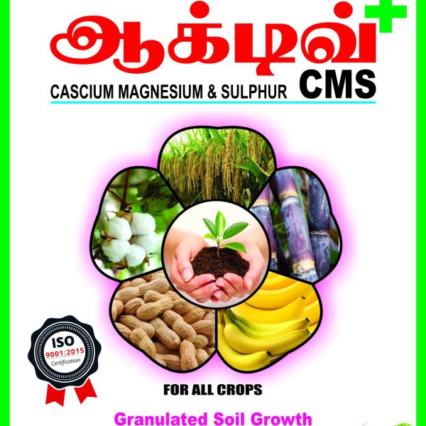 C M S